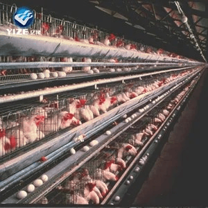 حظيرة الدجاج