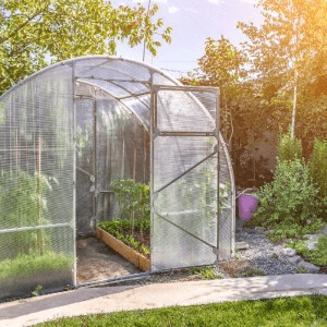 مرفقات النبات