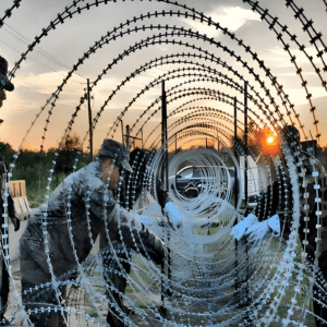 مورد الأسلاك الشائكة كونسرتينا