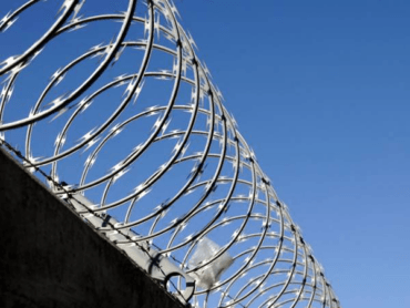 كونسرتينا الأسلاك الشائكة