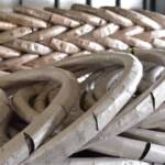 الأسلاك الشائكة كونسرتينا