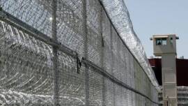 Concertina Razor Barbed Wire