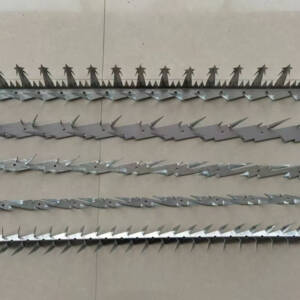 Spikes on Fencing or Wall