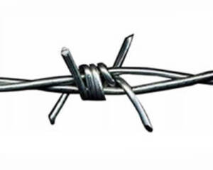 Traditional Twisted Barbed Wire